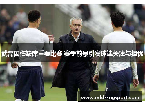 武磊因伤缺席重要比赛 赛季前景引发球迷关注与担忧