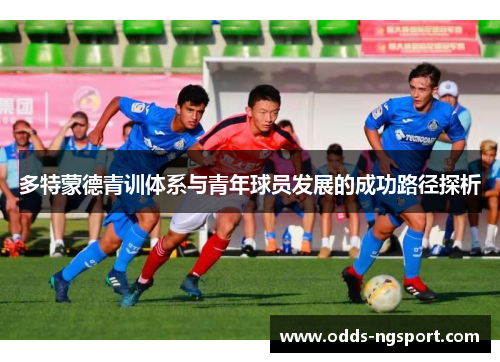 多特蒙德青训体系与青年球员发展的成功路径探析