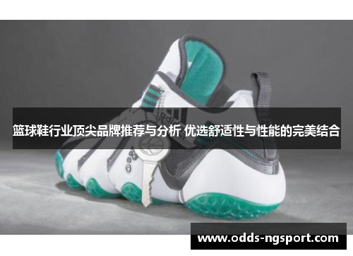 篮球鞋行业顶尖品牌推荐与分析 优选舒适性与性能的完美结合