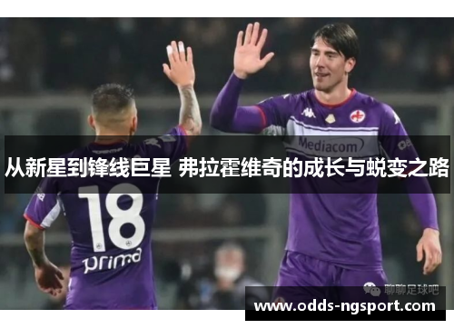 从新星到锋线巨星 弗拉霍维奇的成长与蜕变之路