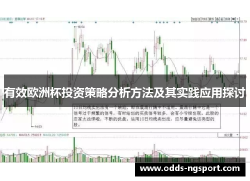 有效欧洲杯投资策略分析方法及其实践应用探讨