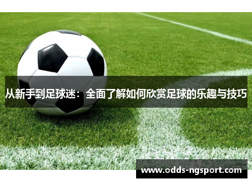 从新手到足球迷：全面了解如何欣赏足球的乐趣与技巧